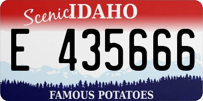 ID license plate E435666