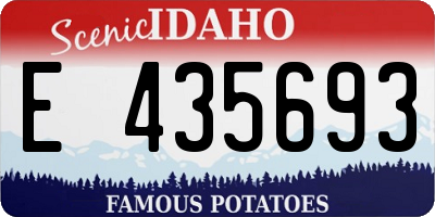ID license plate E435693