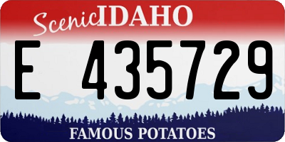 ID license plate E435729
