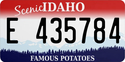 ID license plate E435784