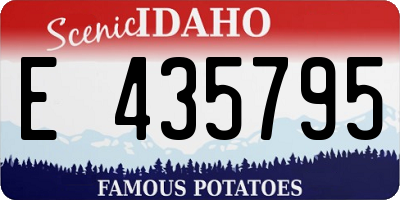 ID license plate E435795