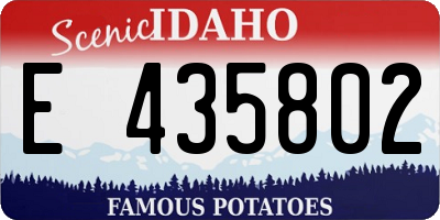 ID license plate E435802