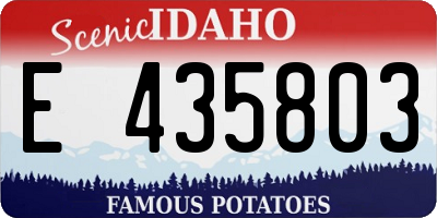 ID license plate E435803