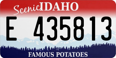 ID license plate E435813