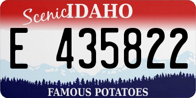ID license plate E435822