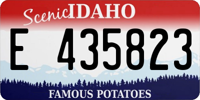ID license plate E435823