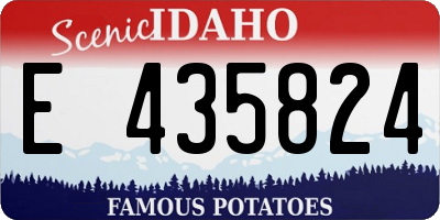 ID license plate E435824