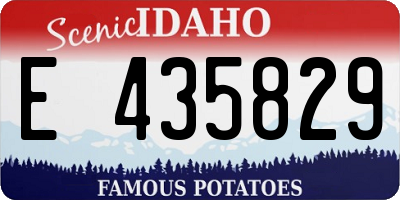 ID license plate E435829