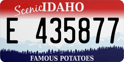 ID license plate E435877