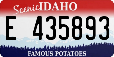 ID license plate E435893