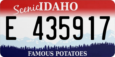 ID license plate E435917