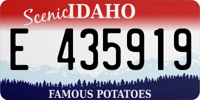 ID license plate E435919