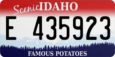 ID license plate E435923
