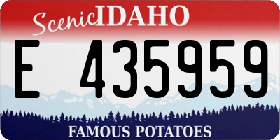 ID license plate E435959