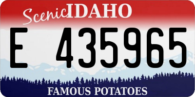 ID license plate E435965