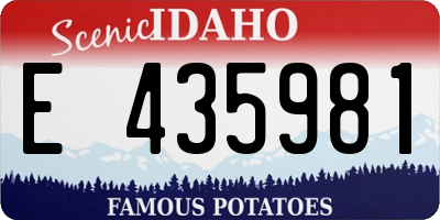 ID license plate E435981
