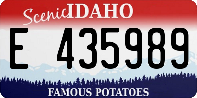 ID license plate E435989