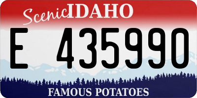 ID license plate E435990
