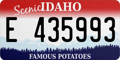 ID license plate E435993