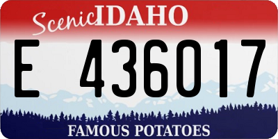 ID license plate E436017