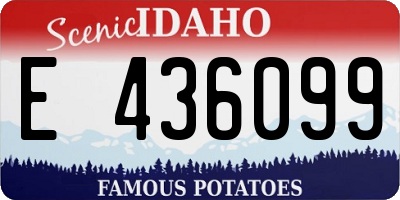 ID license plate E436099