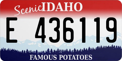 ID license plate E436119