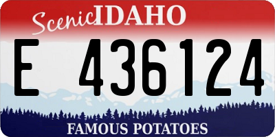 ID license plate E436124