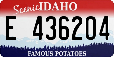 ID license plate E436204