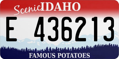 ID license plate E436213