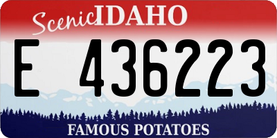 ID license plate E436223