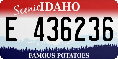 ID license plate E436236