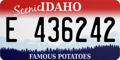 ID license plate E436242