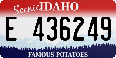 ID license plate E436249