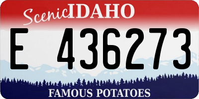 ID license plate E436273