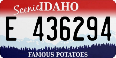 ID license plate E436294