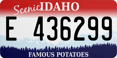 ID license plate E436299