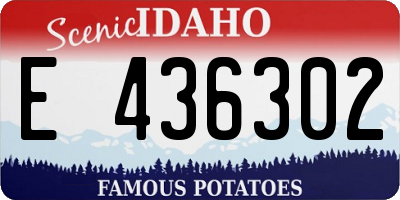 ID license plate E436302