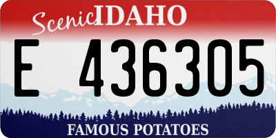 ID license plate E436305