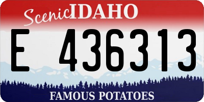ID license plate E436313