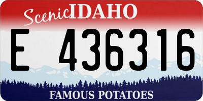 ID license plate E436316