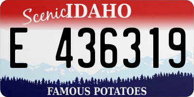 ID license plate E436319