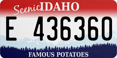 ID license plate E436360