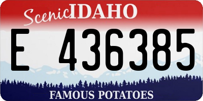 ID license plate E436385