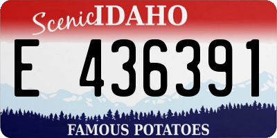 ID license plate E436391