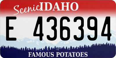 ID license plate E436394