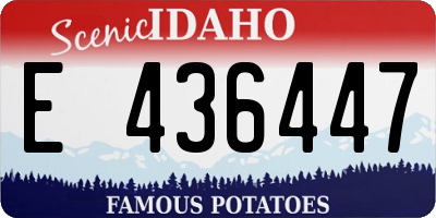 ID license plate E436447