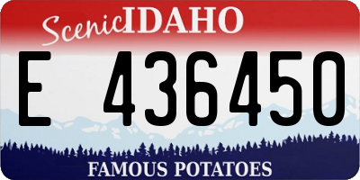 ID license plate E436450