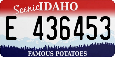 ID license plate E436453