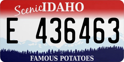 ID license plate E436463