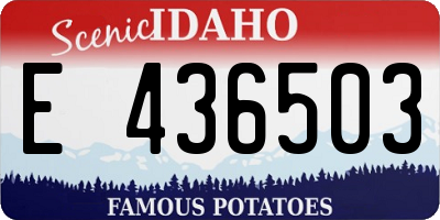 ID license plate E436503